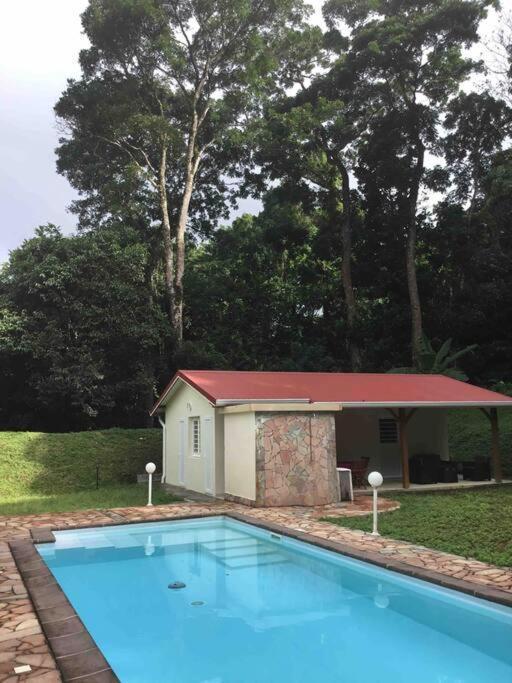 Les Lucioles 1 Beau T2 En Foret Tropicale Avec Acces Piscine Saint-Joseph Exterior photo
