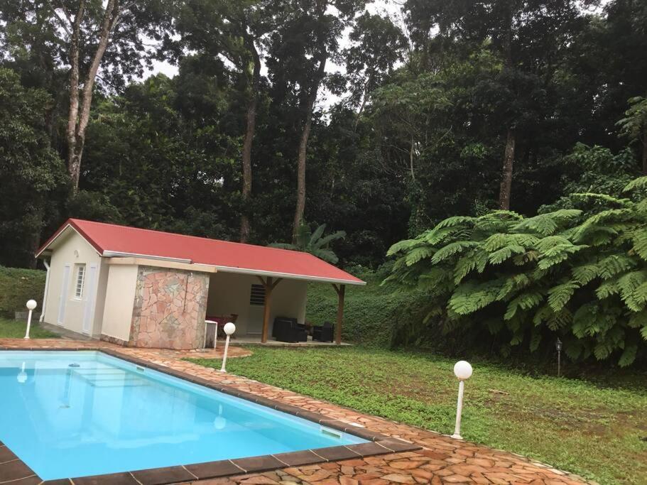 Les Lucioles 1 Beau T2 En Foret Tropicale Avec Acces Piscine Saint-Joseph Exterior photo