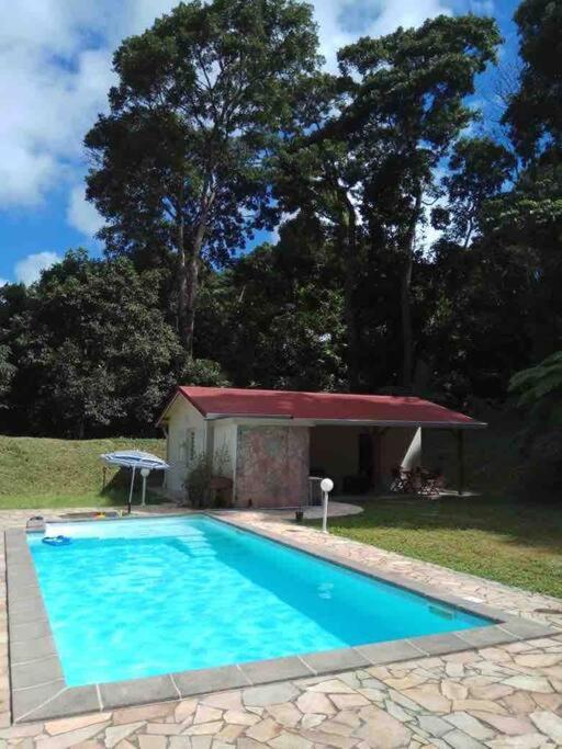 Les Lucioles 1 Beau T2 En Foret Tropicale Avec Acces Piscine Saint-Joseph Exterior photo